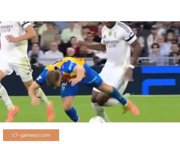 皇马球迷赴瓦伦西亚看台遭侮辱吐口水